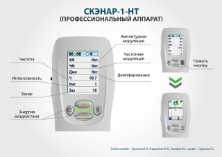 СКЭНАР-1-НТ (исполнение 01)  в Владимире купить Медицинский интернет магазин - denaskardio.ru 